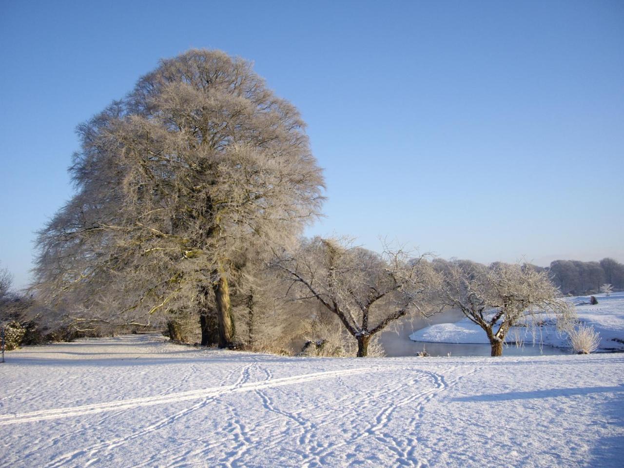 Warwick Hall Carlisle  Esterno foto